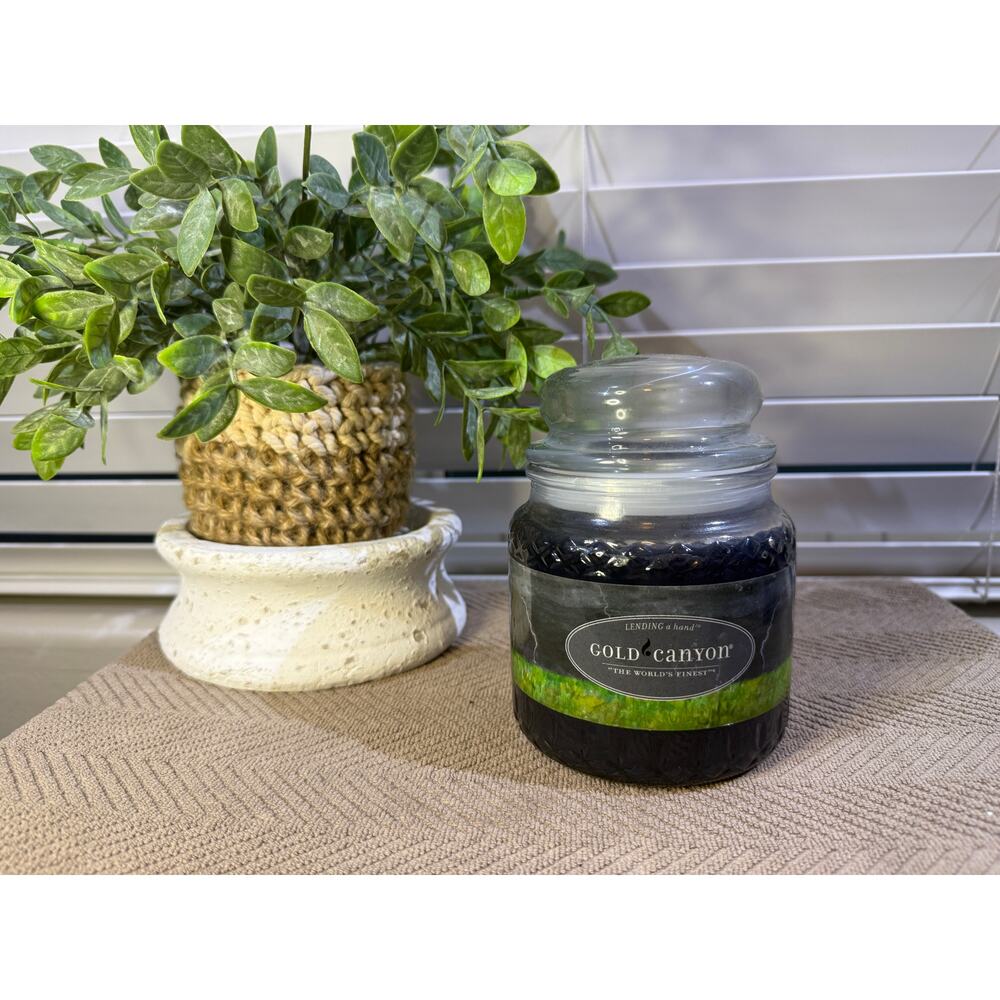 Gold Canyon Candles Med 16oz Storm Highly Scented Candle  Hard to Find